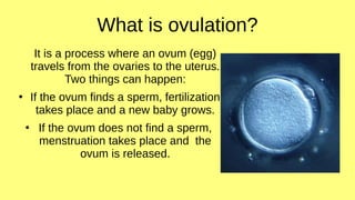 What is ovulation?
It is a process where an ovum (egg)
travels from the ovaries to the uterus.
Two things can happen:
●
If the ovum finds a sperm, fertilization
takes place and a new baby grows.
●
If the ovum does not find a sperm,
menstruation takes place and the
ovum is released.
 