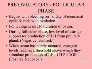 PRE OVULATORY / FOLLICULAR
PHASE
• Begins with bleeding on 1st day of menstrual
cycle & ends with ovulation
• Folliculogenesis : Maturation of ovum.
• During follicular phase, low level of estrogen
suppresses production of LH from pituitary
gland. (Negative feedback )
• When ovum has nearly matured, estrogen
levels reaches a threshold above which they
stimulate production of LH , LH SURGE
(Positive feedback )
 