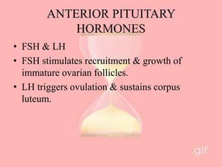 ANTERIOR PITUITARY
HORMONES
• FSH & LH
• FSH stimulates recruitment & growth of
immature ovarian follicles.
• LH triggers ovulation & sustains corpus
luteum.
 