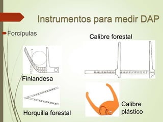 Forcípulas
Finlandesa
Calibre forestal
Horquilla forestal
Calibre
plástico
 