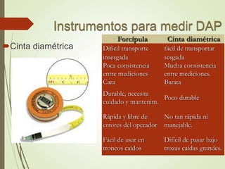 Cinta diamétrica
Forcípula Cinta diamétrica
Difícil transporte fácil de transportar
insesgada sesgada
Poca consistencia
entre mediciones
Mucha consistencia
entre mediciones.
Cara Barata
Durable, necesita
cuidado y mantenim.
Poco durable
Rápida y libre de
errores del operador
No tan rápida ni
manejable.
Fácil de usar en
troncos caídos
Difícil de pasar bajo
trozas caídas grandes.
 