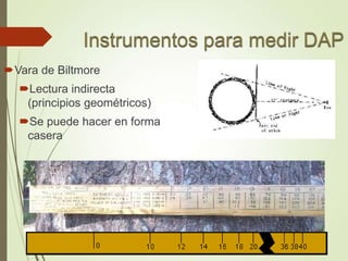 Vara de Biltmore
Lectura indirecta
(principios geométricos)
Se puede hacer en forma
casera
 