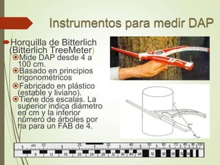 Horquilla de Bitterlich
(Bitterlich TreeMeter)
Mide DAP desde 4 a
100 cm.
Basado en principios
trigonométricos
Fabricado en plástico
(estable y liviano).
Tiene dos escalas. La
superior indica diámetro
en cm y la inferior
número de árboles por
ha para un FAB de 4.
 