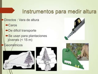Directos : Vara de altura
Caros
De dificil transporte
Se usan para plantaciones
jóvenes (< 15 m)
Geométricos
 