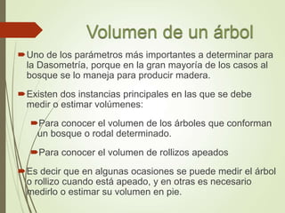Uno de los parámetros más importantes a determinar para
la Dasometría, porque en la gran mayoría de los casos al
bosque se lo maneja para producir madera.
Existen dos instancias principales en las que se debe
medir o estimar volúmenes:
Para conocer el volumen de los árboles que conforman
un bosque o rodal determinado.
Para conocer el volumen de rollizos apeados
Es decir que en algunas ocasiones se puede medir el árbol
o rollizo cuando está apeado, y en otras es necesario
medirlo o estimar su volumen en pie.
 
