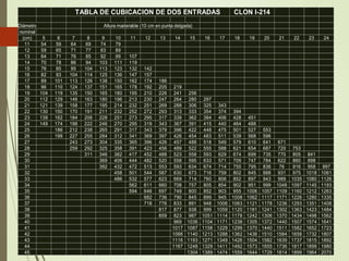 TABLA DE CUBICACION DE DOS ENTRADAS CLON I-214
Diámetro Altura maderable (10 cm en punta delgada)
nominal
(cm) 5 6 7 8 9 10 11 12 13 14 15 16 17 18 19 20 21 22 23 24
11 54 59 64 69 74 79
12 59 65 71 77 83 89
13 64 71 76 85 92 99 107
14 70 78 86 94 103 111 119
15 76 85 95 104 113 123 132 142
16 82 93 104 114 125 136 147 157
17 89 101 113 126 138 150 162 174 186
18 96 110 124 137 151 165 178 192 205 219
19 104 119 135 150 165 180 195 210 226 241 256
20 112 129 146 163 180 196 213 230 247 264 280 297
21 121 139 158 177 195 214 232 251 269 288 306 325 343
22 130 150 170 191 211 232 252 272 293 313 333 354 374 394
23 139 162 184 206 228 251 273 295 317 339 362 384 406 428 451
24 149 174 198 222 246 270 295 319 343 367 391 415 440 464 488
25 186 212 238 265 291 317 343 379 396 422 448 475 501 527 553
26 199 227 255 284 312 341 369 397 426 454 483 511 539 568 596
27 243 273 304 335 365 396 426 457 488 518 549 579 610 641 671
28 259 292 325 358 391 423 456 489 522 555 588 621 654 687 720 753
29 311 346 382 417 452 488 523 558 593 629 674 699 735 770 805 841
30 369 406 444 482 520 558 595 633 571 709 747 784 622 860 898
31 392 432 472 513 553 593 634 674 714 755 795 836 76 916 958 997
32 458 501 544 587 630 673 716 759 802 845 888 931 975 1018 1061
33 486 532 577 623 669 714 760 806 852 897 943 989 1035 1080 1126
34 562 611 660 708 757 805 854 902 951 999 1048 1097 1145 1193
35 594 646 697 749 800 852 903 955 1006 1057 1109 1160 1212 1263
36 682 736 790 845 899 945 1008 1062 1117 1171 1226 1280 1335
37 718 776 833 891 948 1006 1063 1121 1178 1236 1293 1351 1408
38 817 877 938 999 1059 1120 1181 1241 1302 1363 1423 1484
39 859 823 987 1051 1114 1178 1242 1306 1370 1434 1498 1562
40 969 1036 1104 1171 1238 1305 1372 1440 1507 1574 1641
41 1017 1087 1158 1229 1299 1370 1440 1511 1582 1652 1723
42 1066 1140 1213 1288 1362 1436 1510 1584 1658 1732 1807
43 1116 1193 1271 1349 1426 1504 1582 1639 1737 1815 1892
44 1167 1248 1329 1411 1492 1573 1655 1736 1817 1899 1980
45 1304 1389 1474 1559 1644 1729 1814 1899 1964 2070
 