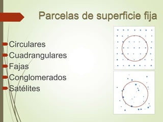 Circulares
Cuadrangulares
Fajas
Conglomerados
Satélites
 