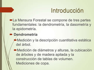 La Mensura Forestal se compone de tres partes
fundamentales: la dendrometría, la dasometría y
la epidometría.
 Dendrometría
Medición y la descripción cuantitativa estática
del árbol.
Medición de diámetros y alturas, la cubicación
de árboles y de madera apilada y la
construcción de tablas de volumen.
Mediciones de copa.
 