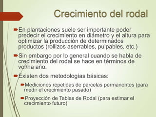 En plantaciones suele ser importante poder
predecir el crecimiento en diámetro y el altura para
optimizar la producción de determinados
productos (rollizos aserrables, pulpables, etc.)
Sin embargo por lo general cuando se habla de
crecimiento del rodal se hace en términos de
vol/ha año.
Existen dos metodologías básicas:
Mediciones repetidas de parcelas permanentes (para
medir el crecimiento pasado)
Proyección de Tablas de Rodal (para estimar el
crecimiento futuro)
 