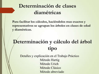 Determinación de clases
diamétricas
Determinación y cálculo del árbol
tipo
Para facilitar los cálculos, haciéndolos mas exactos y
representativos se agrupan los árboles en clases de edad
y diamétricas.
Detalles y explicación en el Trabajo Práctico
Método Hartig
Método Urich
Método Clásico
Método abreviado
 