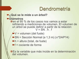 ¿Qué se le mide a un árbol?
Diámetros
en el 95 % de los casos nos vamos a estar
refiriendo a mediciones de volumen. El volumen de
un árbol se puede definir a partir de la relación:
V = SN . h . f
V = volumen (del fuste)
SN = Sección Normal (a 1,3 m) (π*DAP²/4)
h = altura (total, de fuste)
f = cociente de forma
Es la variable que más incide en la determinación
del volumen.
 