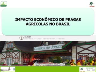 IMPACTO ECONÔMICO DE PRAGAS
AGRÍCOLAS NO BRASIL
 