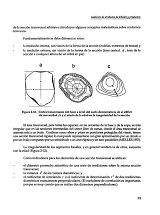 Mensura forestal