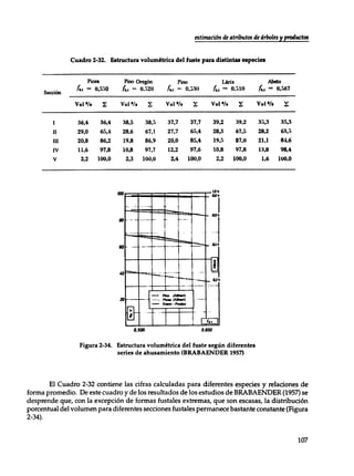 Mensura forestal