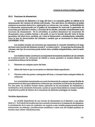 Mensura forestal