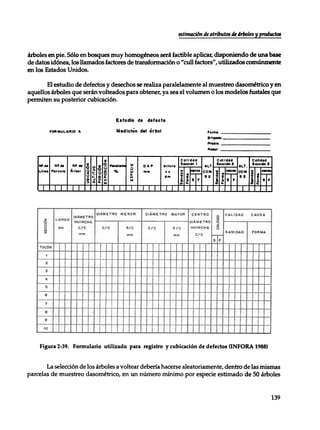Mensura forestal