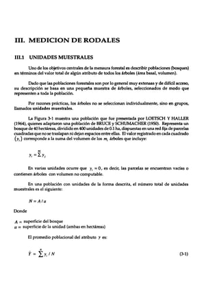 Mensura forestal
