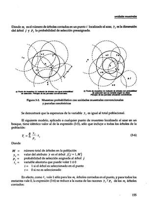 Mensura forestal