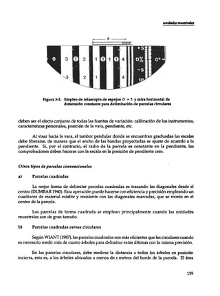 Mensura forestal