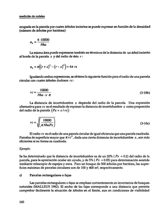 Mensura forestal