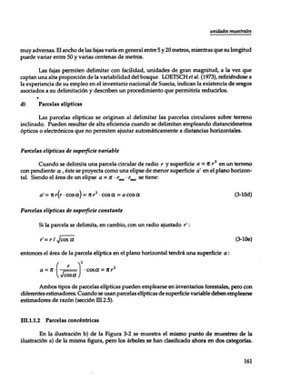 Mensura forestal