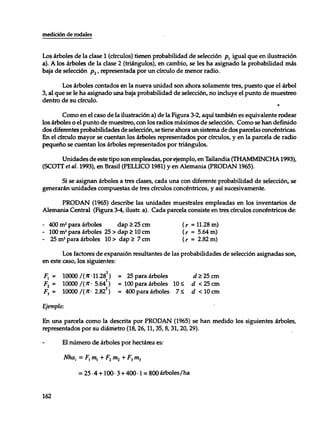 Mensura forestal