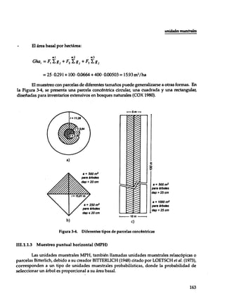 Mensura forestal