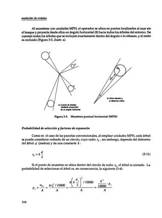 Mensura forestal