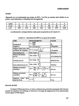 Mensura forestal