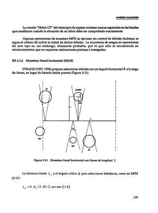 Mensura forestal