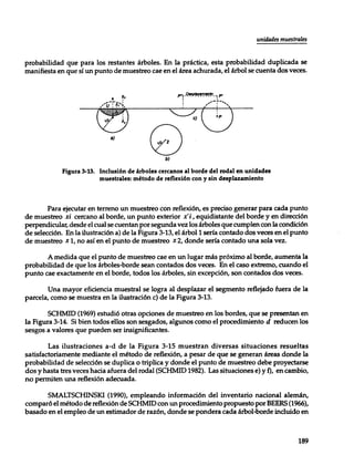 Mensura forestal