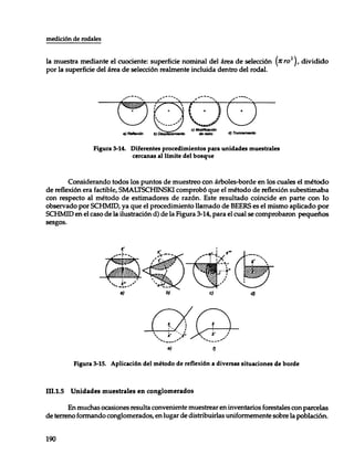 Mensura forestal