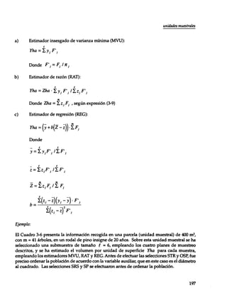Mensura forestal
