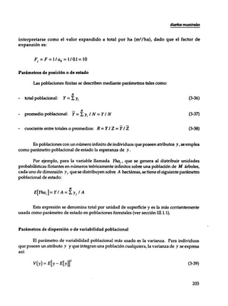 Mensura forestal