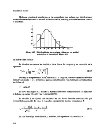 Mensura forestal