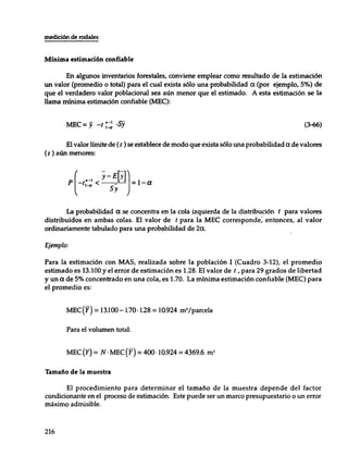Mensura forestal