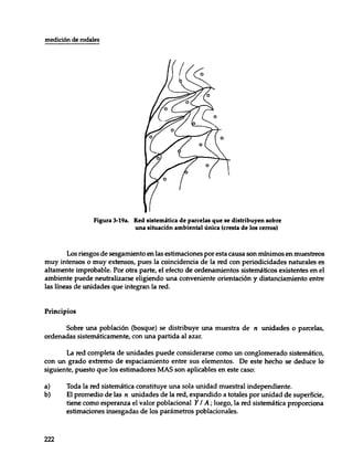 Mensura forestal