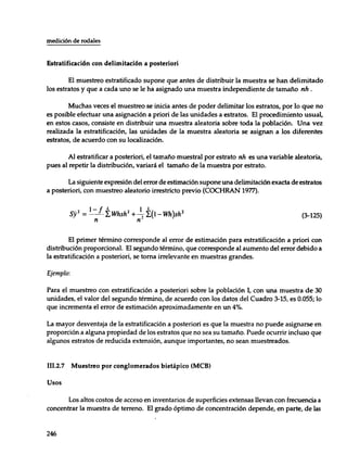 Mensura forestal