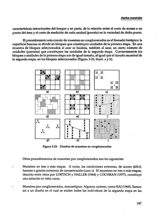 Mensura forestal