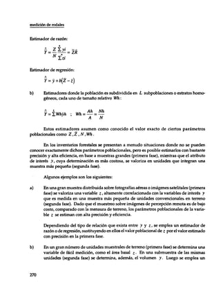 Mensura forestal