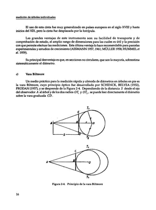 Mensura forestal