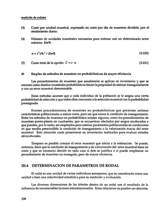 Mensura forestal