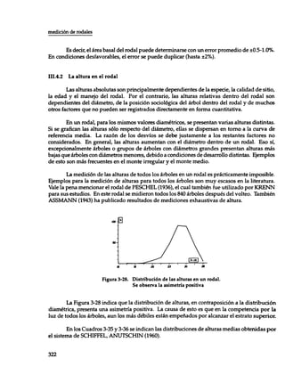 Mensura forestal