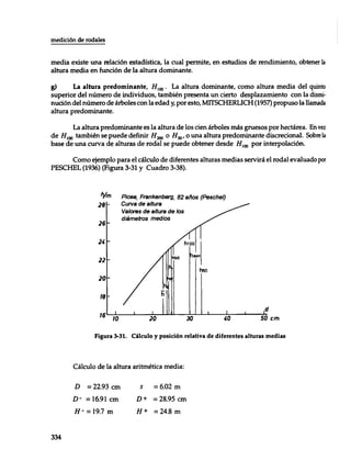 Mensura forestal