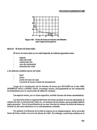 Mensura forestal