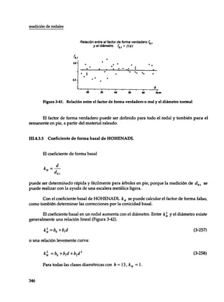 Mensura forestal