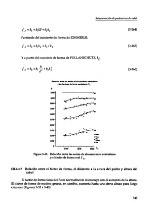 Mensura forestal