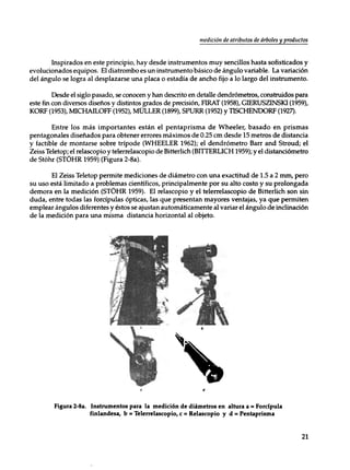 Mensura forestal