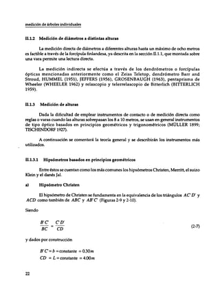 Mensura forestal