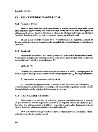 Mensura forestal